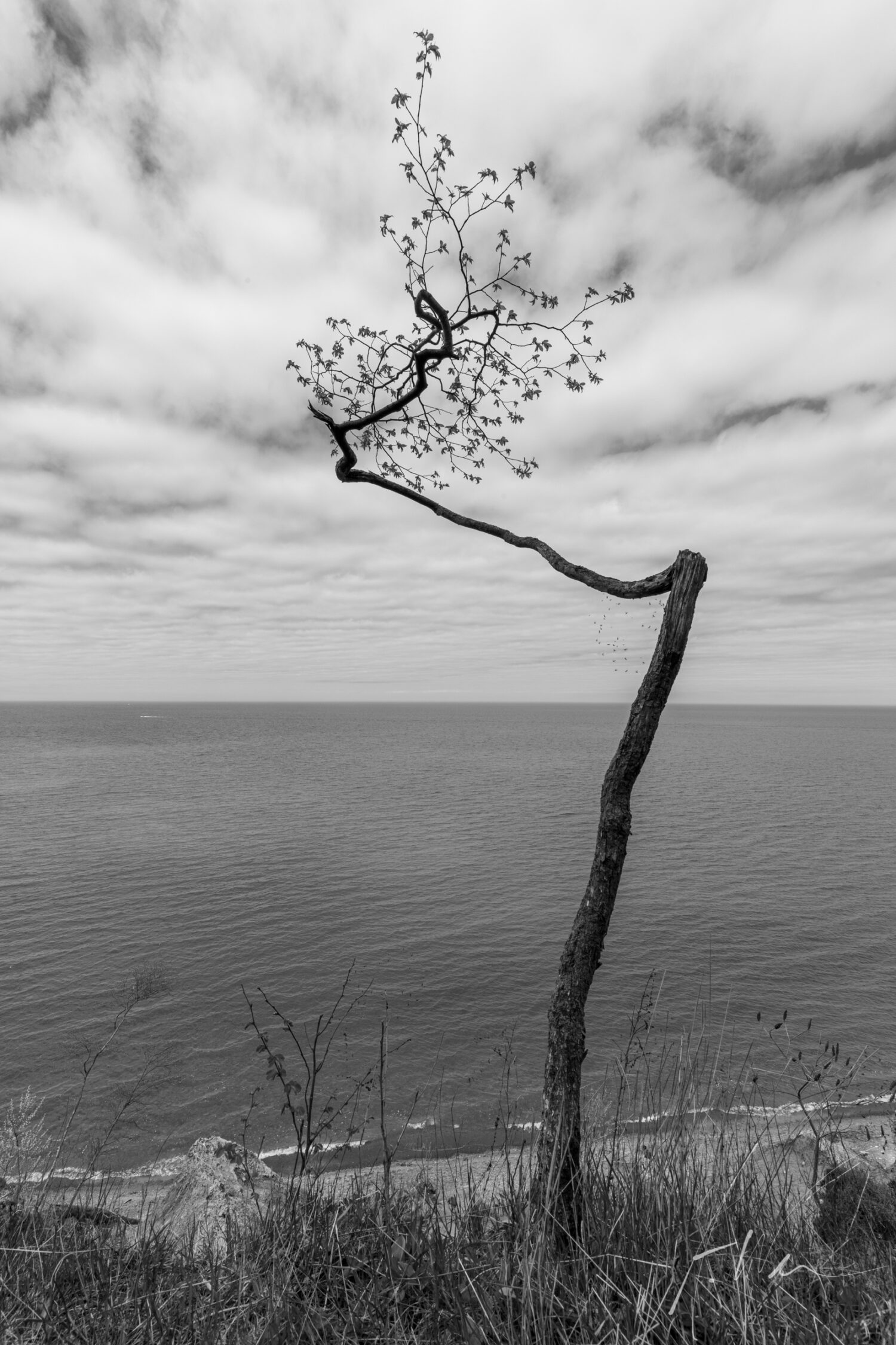 On the edge