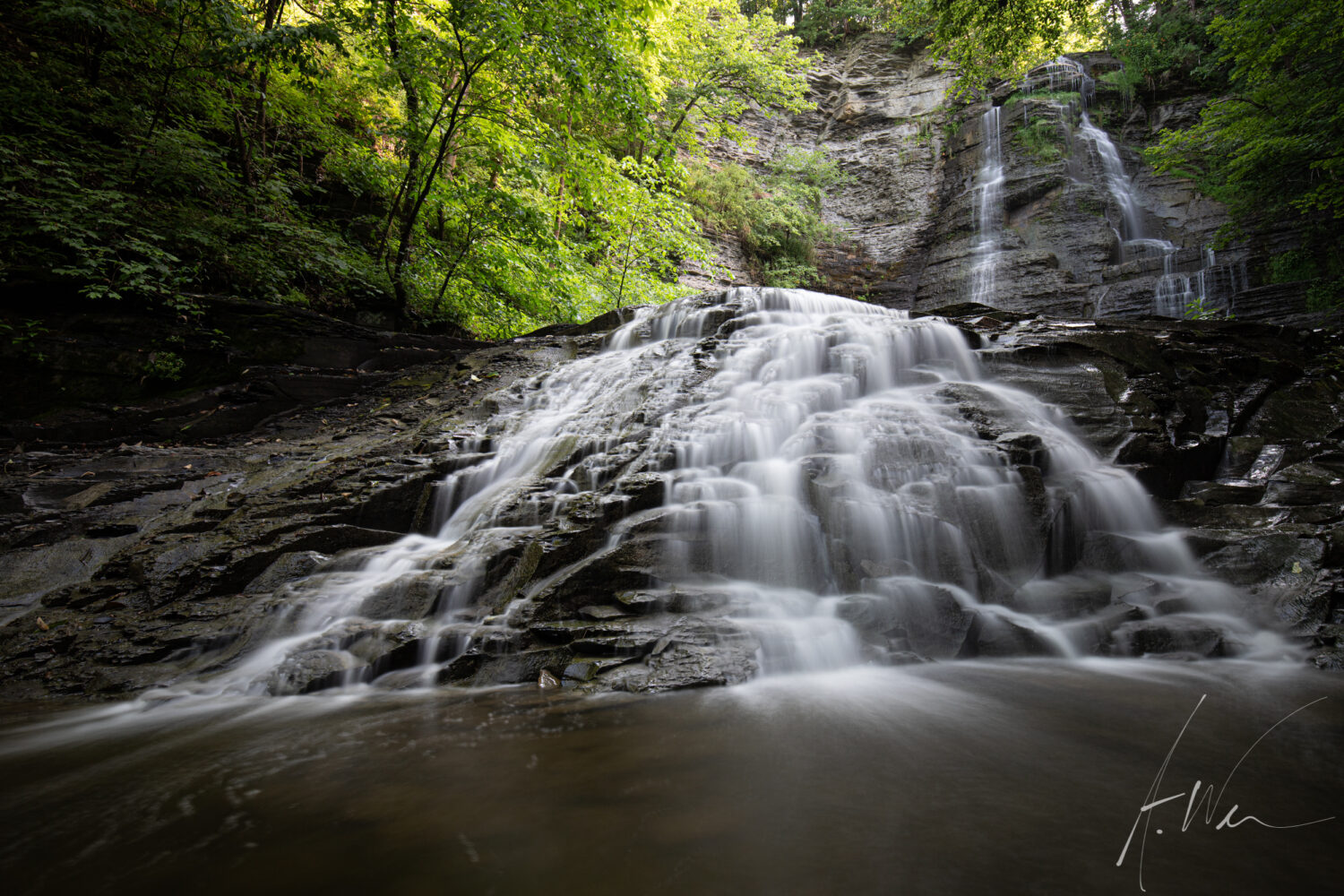 Emilie Jonas Falls