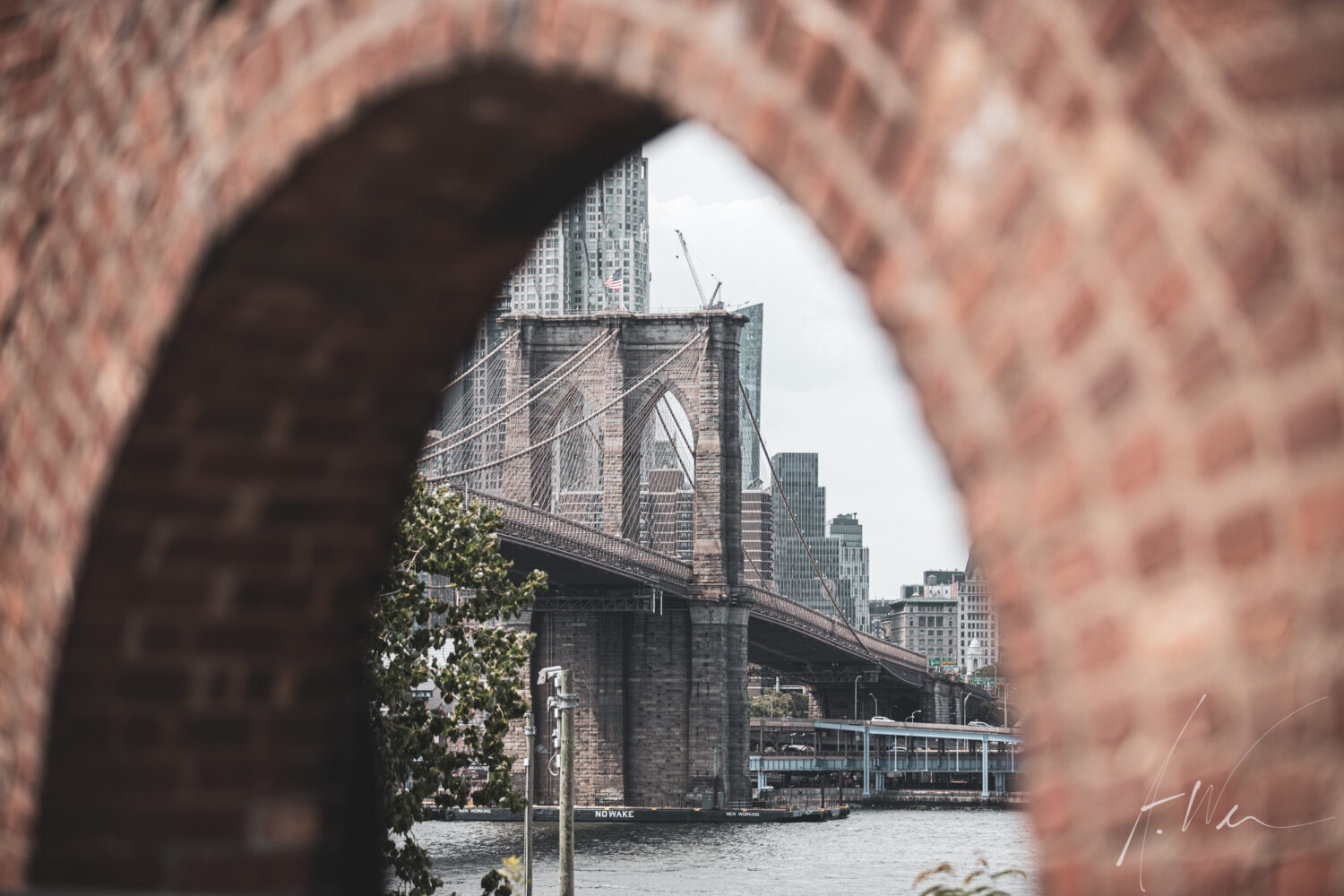 Brooklyn Window